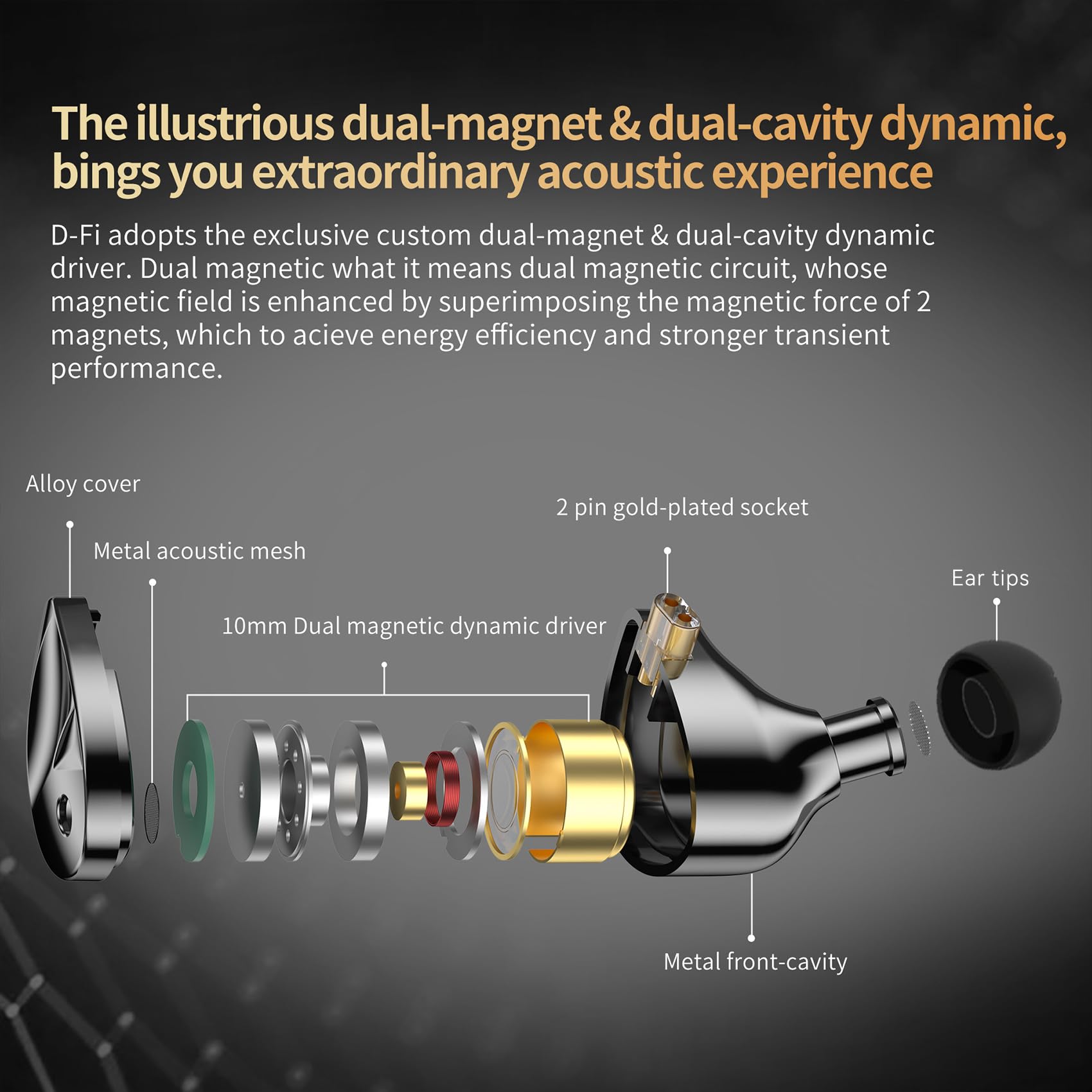 KZ D-Fi in Ear Monitor Headphones High Performance Flagship Dynamic IEMS,Dual-Magnet&Dual-Cavity Dynamic Driver Wired Earbuds Gaming Earbuds with Tuneful Bass for Musicians (Standard Version) 5