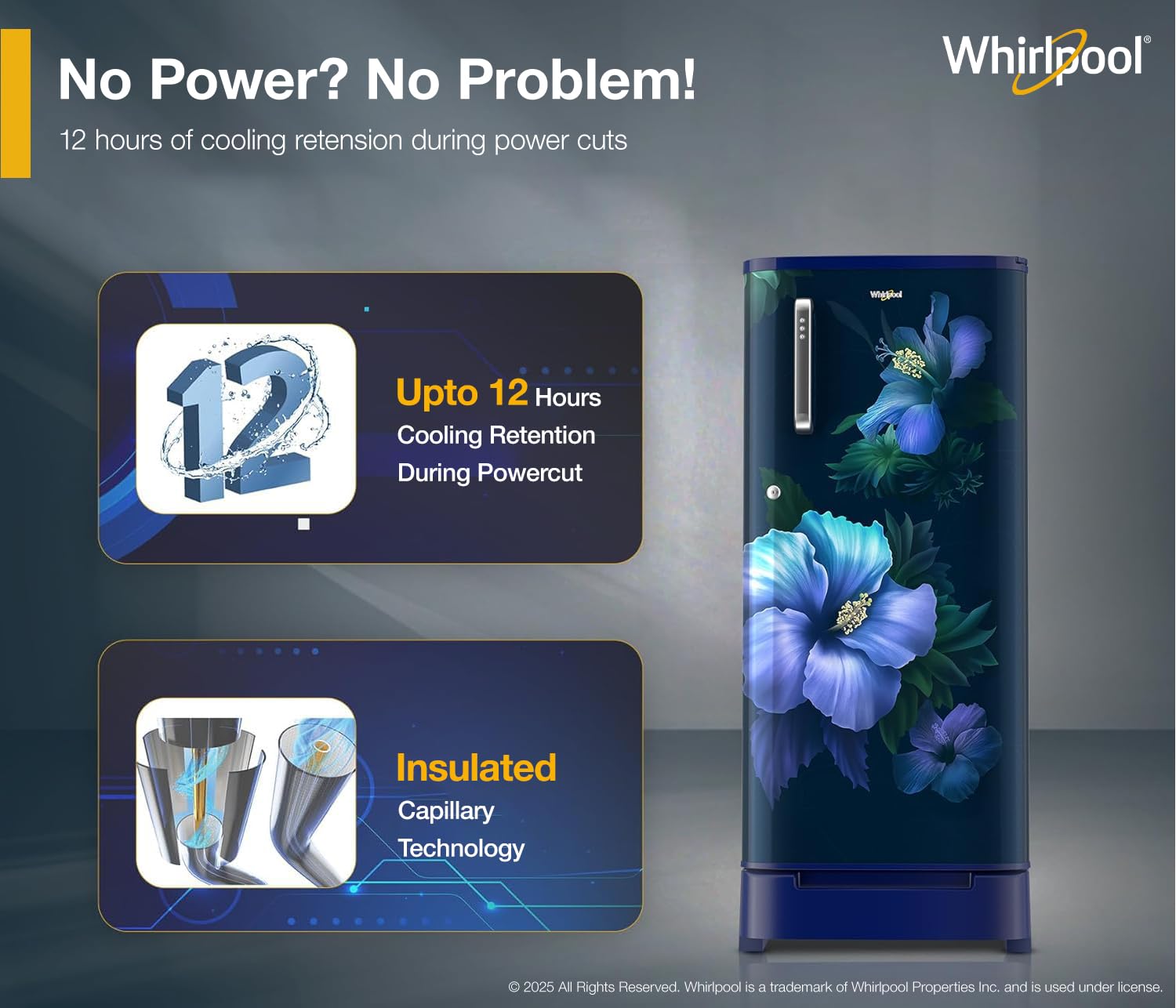 Whirlpool 184 L 5 Star Direct-Cool Single Door Refrigerator with Intellisense Inverter Compressor (205 WDE ROY 5S Inv SAPPHIRE SPRING-Z) 2