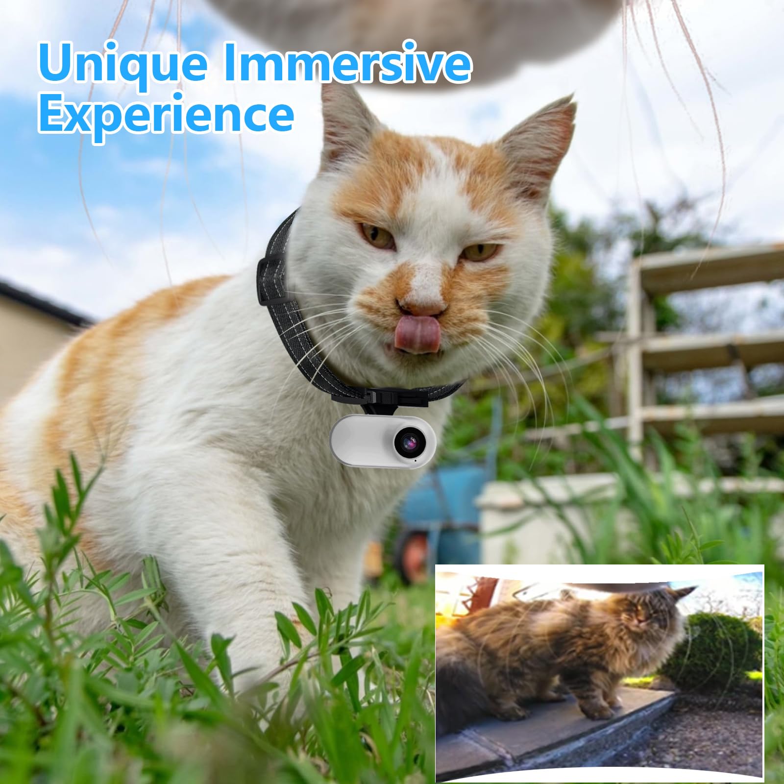 ehomful HD 1080P Cat Camera Collar with Video Record Wireless Mini Sport cam,Small Action Cameras,Body Camera for Pet Supplies/Stuff,Outdoor/Inoor Birthday Gift No WiFi 3