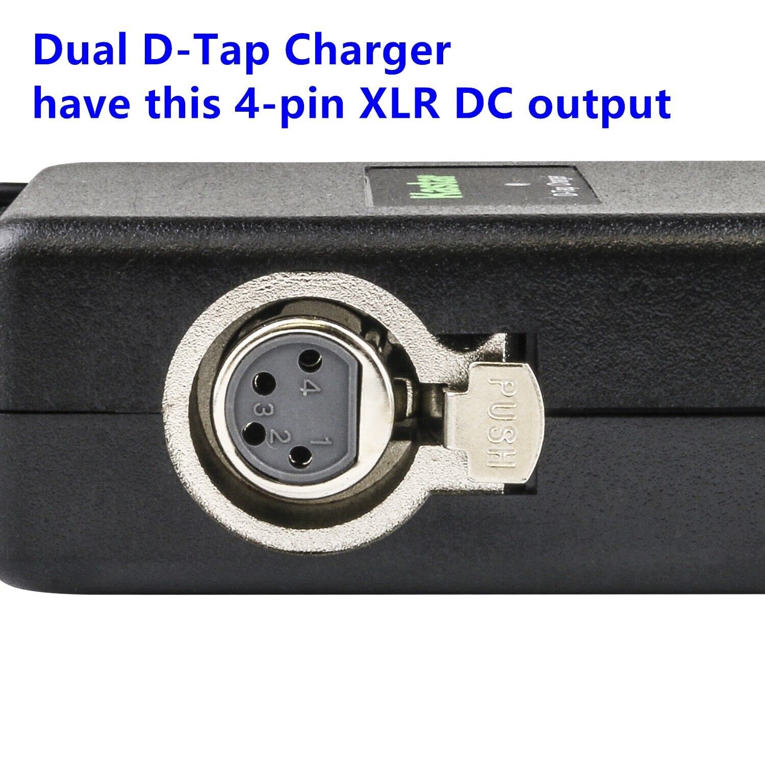 Kastar Dual D-Tap Charger with 4-pin XLR DC Compatible with DSR-370PK2 DSR-390 DSR-390K1 DSR-390K2 DSR-390L DSR-390P DSR-400 DSR-400K DSR-400L DSR-400P DSR-400PK DSR-400PL DSR-450WS Camera 6