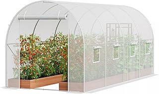 Ivory.Best Walk-in Tunnel Greenhouse